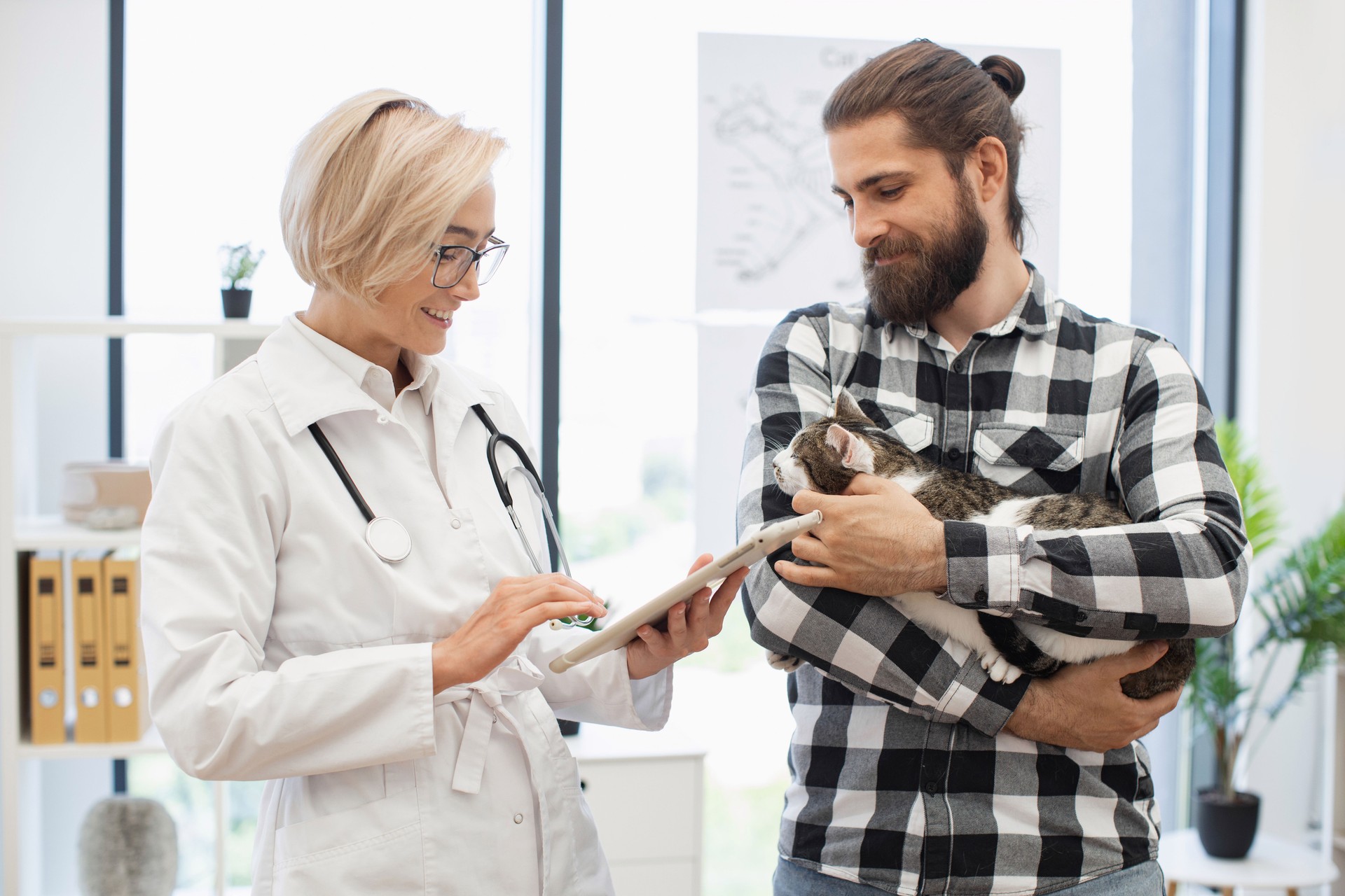 Veterinarian discussing cat treatment options with pet owner in clinic setting