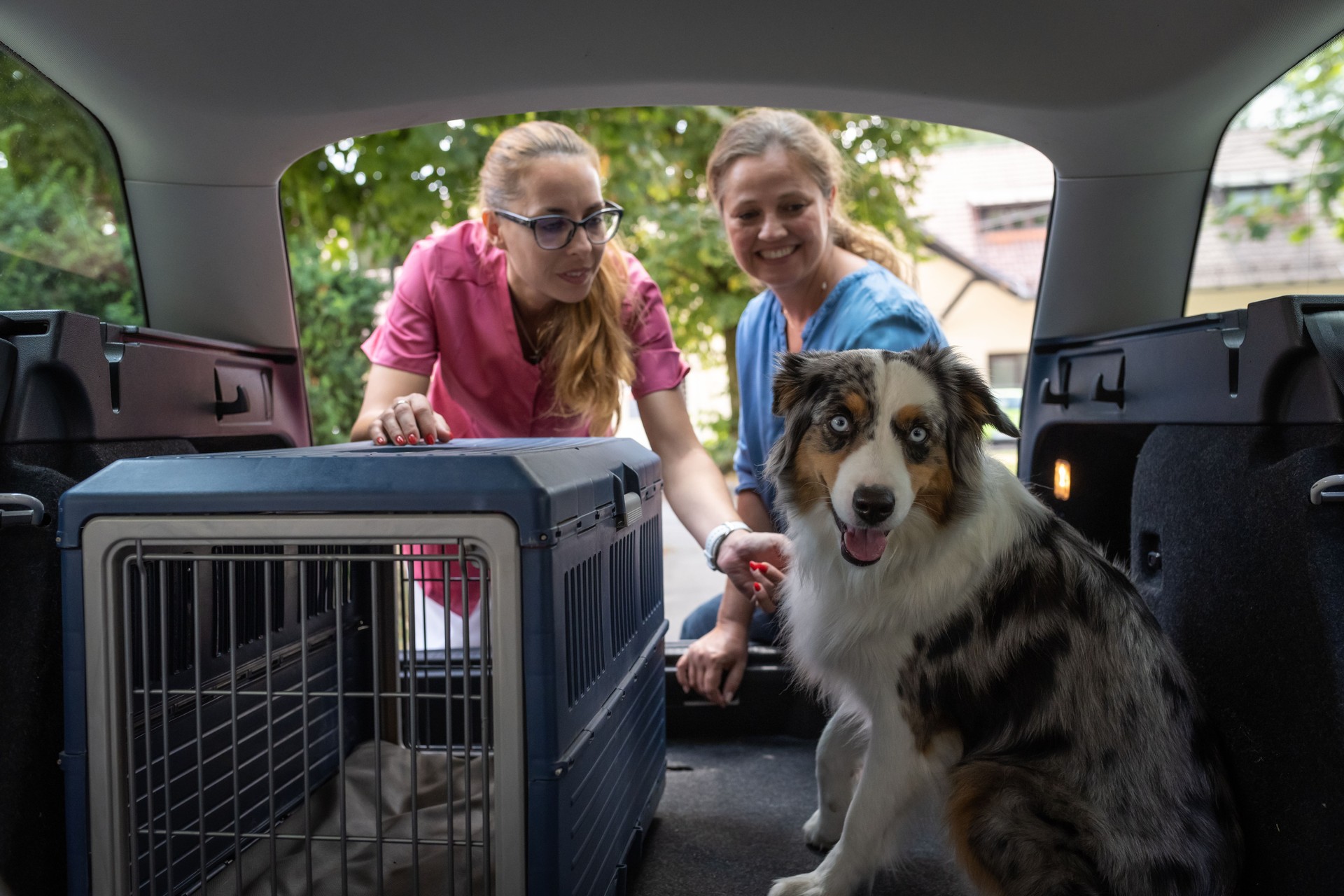 Transporting a dog in a dog cage in the car